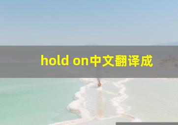 hold on中文翻译成